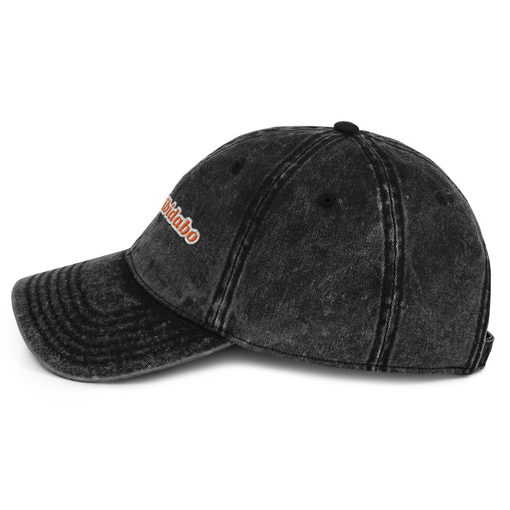 Mount Tibidabo Vintage dad hat