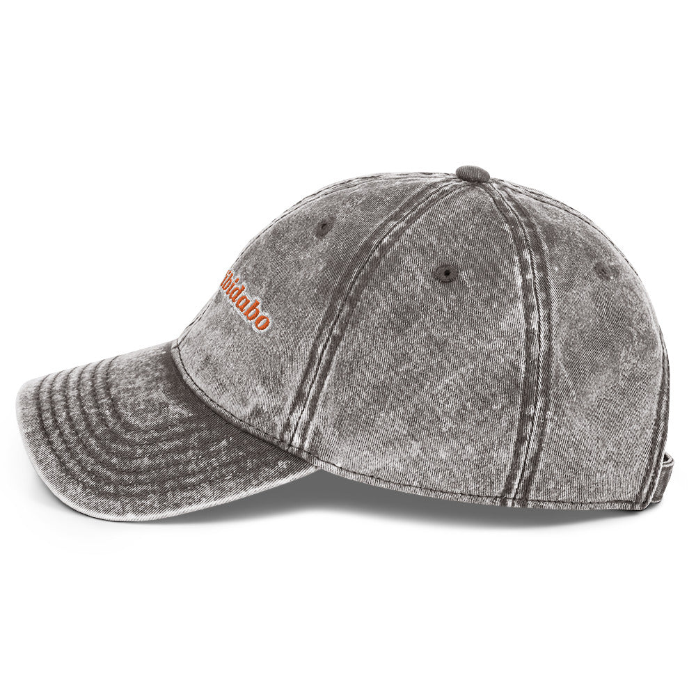 Mount Tibidabo Vintage dad hat