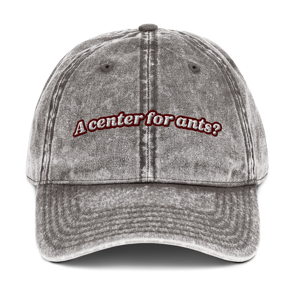 Center for ants Vintage dad hat